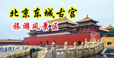 女操女网站中国北京-东城古宫旅游风景区